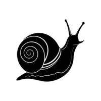 Cartoon snail with a spiral shell vector