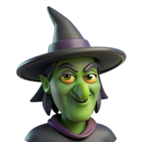 wonderful modern A wicked witch with a crooked nose and a pointed hat original png