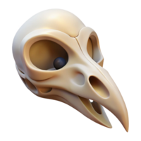 elegant traditional A stylized bird skull, hollow eye sockets, delicate bone structure authentic png