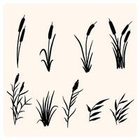 Beach grass, reeds silhouette isolated on white vector
