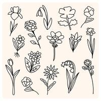 One Line Flower Drawing Botany art. Continuous line drawing hand drawn abstract flower, Floral set, illustration, design vector