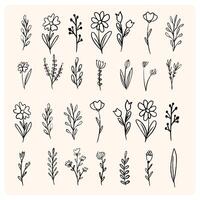 One Line Flower Drawing, Botany art. Continuous line drawing hand drawn abstract flower, Floral set, illustration, design vector