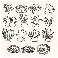 Hand drawn corals isolated on cream. Sketch drawing with doodle style vector