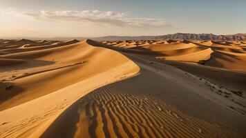 Sand dunes in the desert with soft lighting photo