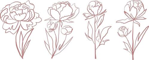 This vintage floral illustration set features handdrawn peonies in a retro botanical style. The delicate line art with pastel hues and muted tones creates a nostalgic, aesthetic, and timeless look, perfect for art prints, branding vector