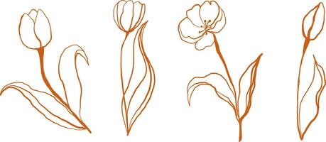 This vintage floral illustration set features handdrawn tulips in a retro botanical style. The delicate line art with pastel hues and muted tones creates a nostalgic, aesthetic, and timeless look, perfect for art prints, branding vector