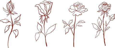 This vintage floral illustration set features handdrawn roses in a retro botanical style. The delicate line art with pastel hues and muted tones creates a nostalgic, aesthetic, and timeless look, perfect for art prints, branding vector