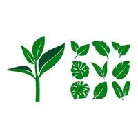 A green leaf icon set on a white background vector