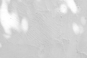 Wall texture background, paper texture photo