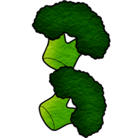 two broccoli heads on a transparent background png