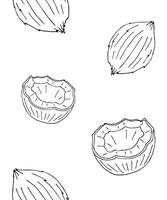 Seamless pattern of hand drawn doodle sketch coconut isolated vector