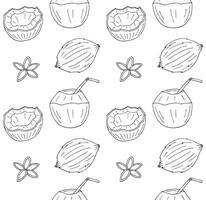 Seamless pattern of hand drawn doodle sketch different coconuts isolated on white background vector