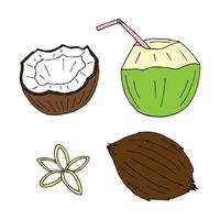 Set bundle of hand drawn doodle sketch coconut vector