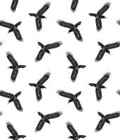 Seamless pattern of hand drawn doodle sketch flying ravens vector