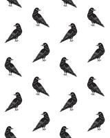 Seamless pattern of hand drawn doodle sketch ravens isolated on white background vector