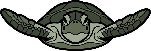 Sea Turtle Swimming Front View Illustration vector