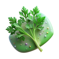magnificent rustic Parsley Green Sprig Texture Garnish Herb Isolated high resolution png