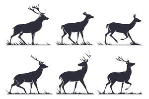 Silhouettes of Deer in Various Poses vector