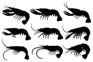 Shrimp Silhouettes for Design and Print vector