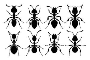 black silhouette ant illustrations, each showcasing a unique ant body shape and antenna style. vector