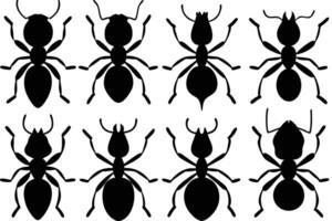 Different Ant Silhouettes for Educational or Design Use vector