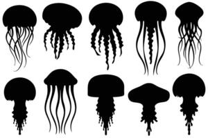 This image features a collection of various jellyfish silhouettes, perfect for use in design projects. vector