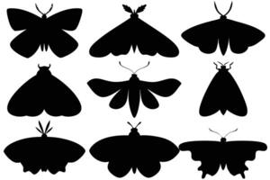 Silhouettes of Various Moth vector