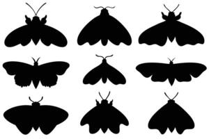Silhouettes of Various Moth Species vector