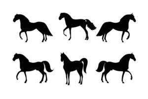 Set of Horse Silhouettes in Various Poses vector