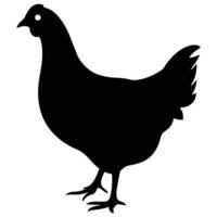 Simple Silhouette of a Hen vector
