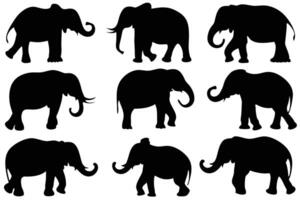 Elephants in Various Poses vector