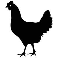 A clean, bold silhouette of a hen, perfect for use in various designs and projects. vector