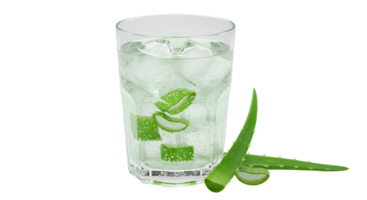 A refreshing beverage with ice cubes and sliced aloe vera in a clear glass on a simple setting transparent background png