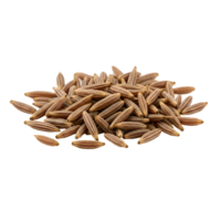 A close up view of a pile of brown cumin seeds against a plain and simple solid color backdrop transparent background png