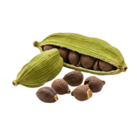 Close up of cardamom pods and seeds with a plain setting showcasing the spice in detail view transparent background png