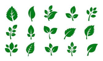 Green leaf icons. Can be used in vegan, ecological and nature themed content. Prepared as illustration. vector
