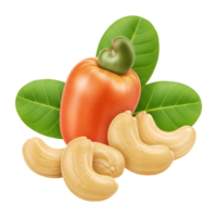 Isolated cashew fruit with nuts and leaves against a plain colored simple studio setting view image transparent background png