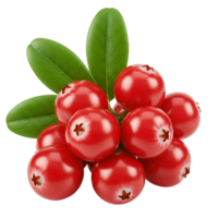 A vibrant cluster of cranberries with fresh green leaves against a simple solid color backdrop image transparent background png