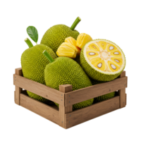 A wooden crate filled with jackfruit including one cut in half with a leaf on a plain background transparent background png