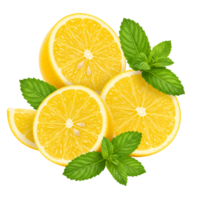 Arrangement of sliced lemons with fresh mint leaves on a plain solid color canvas backdrop view transparent background png