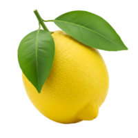 A single lemon with two green leaves attached to the top on a plain colored setting shown isolated transparent background png