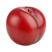 Close up studio shot of a single ripe plum with a stem on a plain color isolated setting view transparent background png