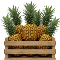 A wooden crate filled with several ripe pineapples with spiky green tops on a plain setting transparent background png
