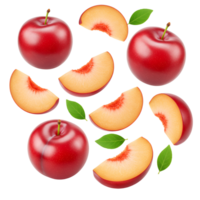 Arrangement of plums and peach slices with green leaves on a plain colored background studio shot transparent background png