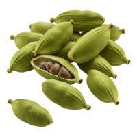 A group of aromatic cardamom pods, some opened to reveal the seeds, on a solid plain setting transparent background png