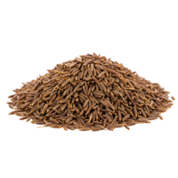 A heap of cumin seeds displayed against a solid and plain isolated simple studio type of setting transparent background png