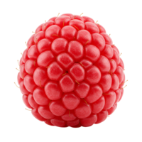 A single raspberry fruit with a bright red color displayed against a plain and simple background tone transparent background png
