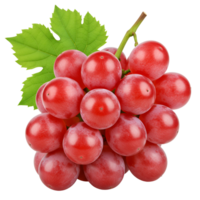 A bunch of vibrant red grapes with green leaves attached to a stem on a plain color isolation transparent background png