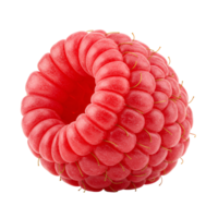 A close up view of a vibrant red raspberry with a hollow center on a transparent surface transparent background png