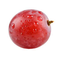 A single red grape with water droplets on its surface against a plain background in a studio shot transparent background png